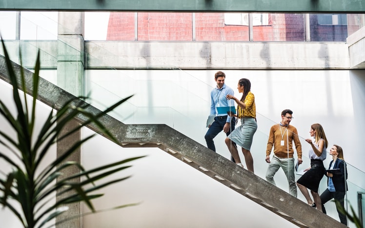 Colleagues walking up stairs